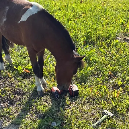 Tatil Evi Smarzewo Smetowo Graniczne