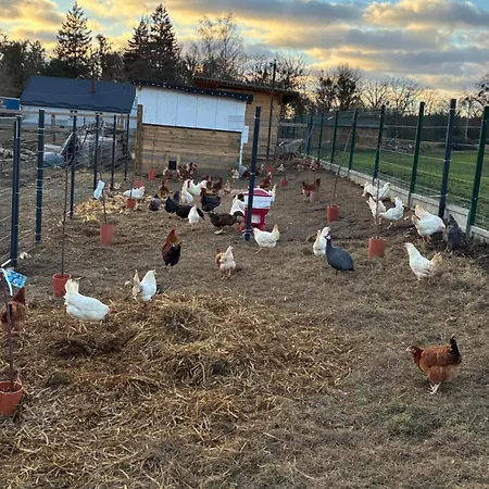 Tatil Evi Smarzewo *