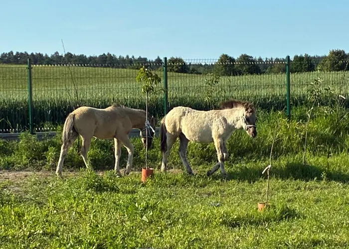 Smarzewo Σπίτι διακοπών