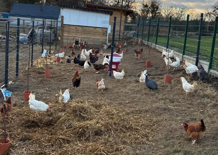 Σπίτι διακοπών Smarzewo *