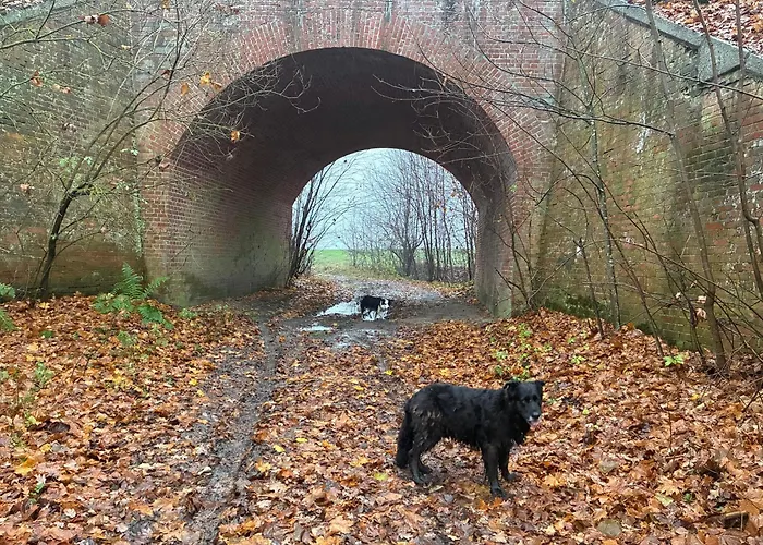 Smarzewo Smetowo Graniczne